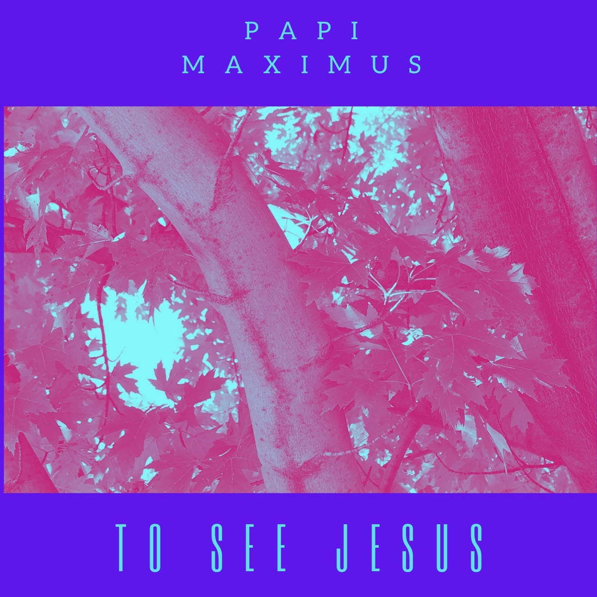 To See Jesus - Single by Papi Maximus album cover