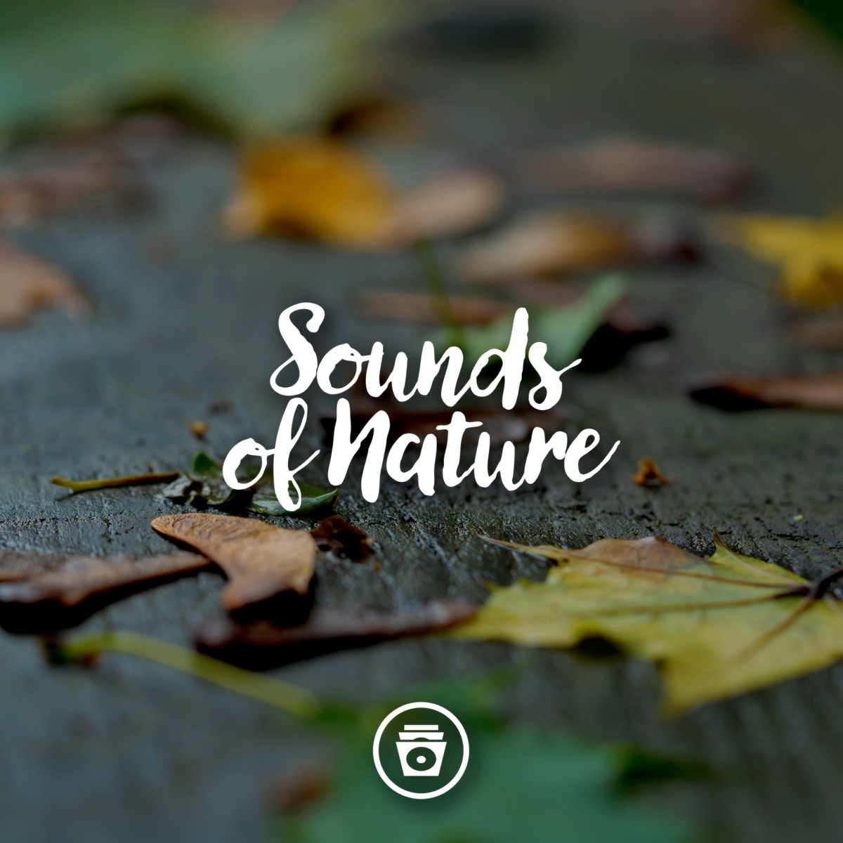 Sounds of Nature by Sleep Music album cover