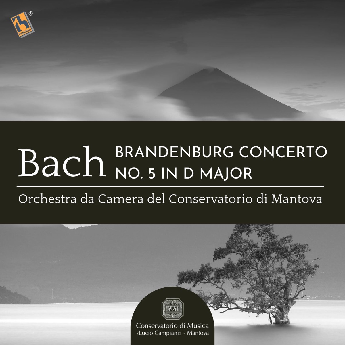Bach: Brandenburg Concerto No. 5 in D Major, BWV 1050 - Single by Paolo Ghidoni & Orchestra da Camera del Conservatorio di Mantova album cover