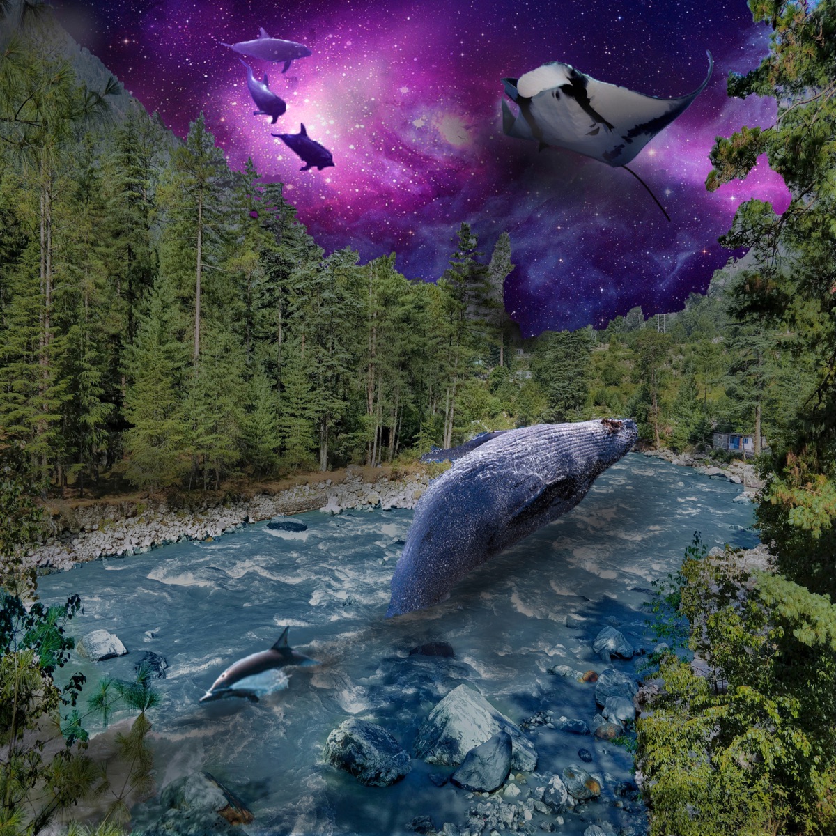 Dreams - Single by Heuse album cover