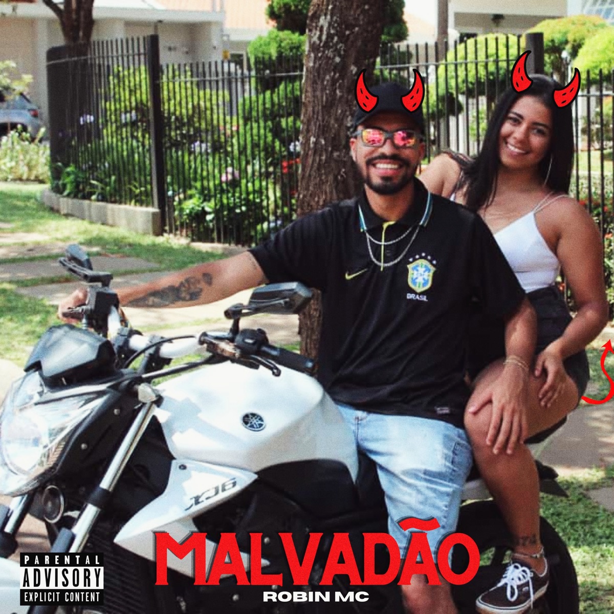 Malvadão - Single by Robin Mc album cover