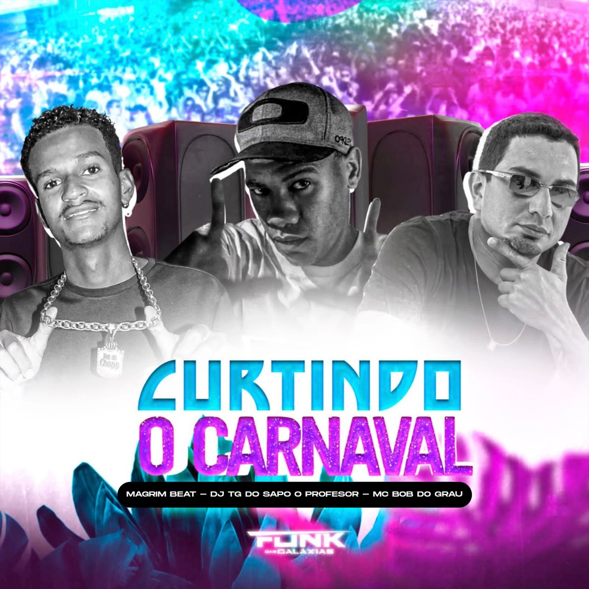 Curtindo o Carnaval - Single by Mc Bob Grau, DJ TG DO SAPO O PROFESSOR & MAGRIM BEAT album cover