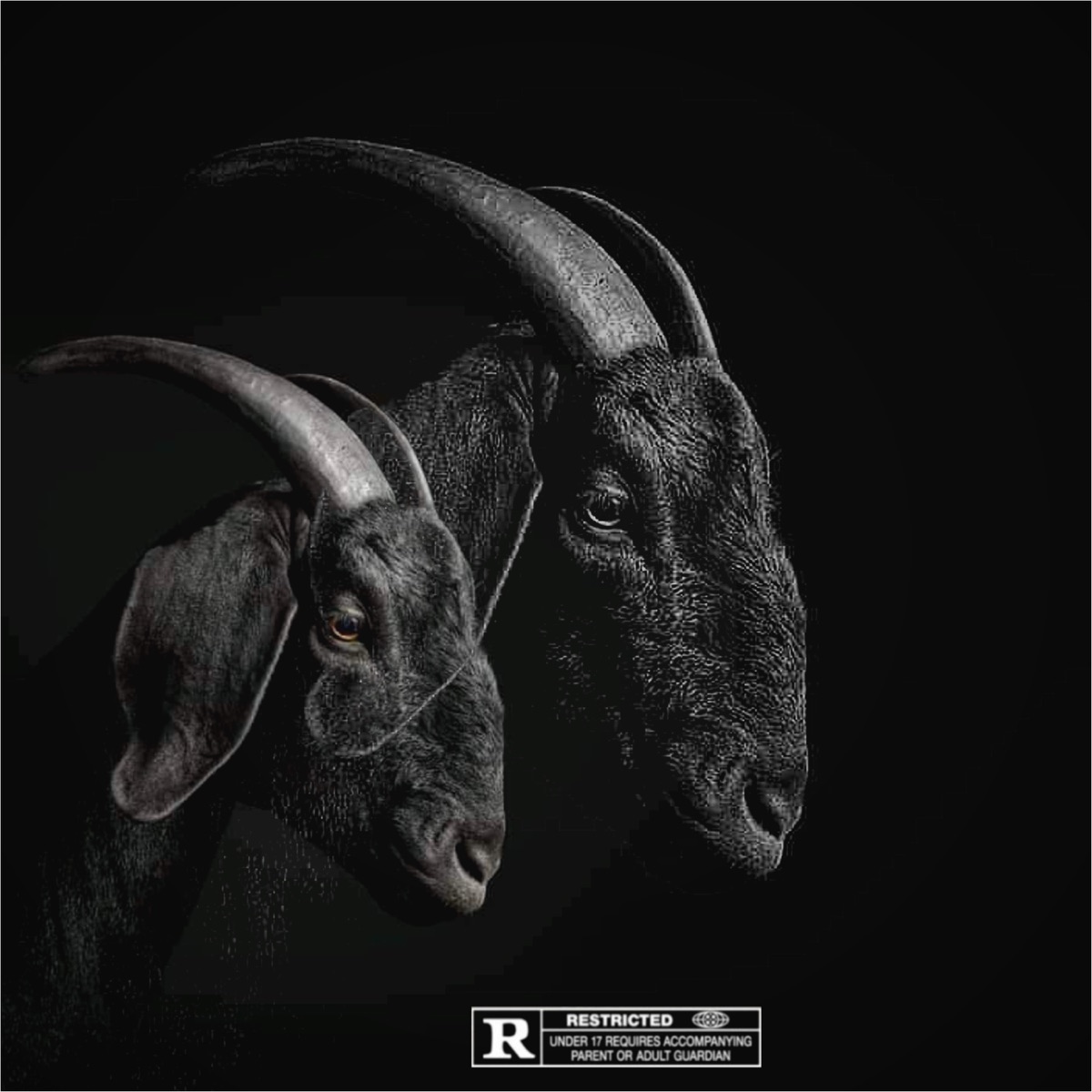 Double Trouble (feat. Tape112 & Luno Bambi) by SawceGawd & The Real Kaytee album cover