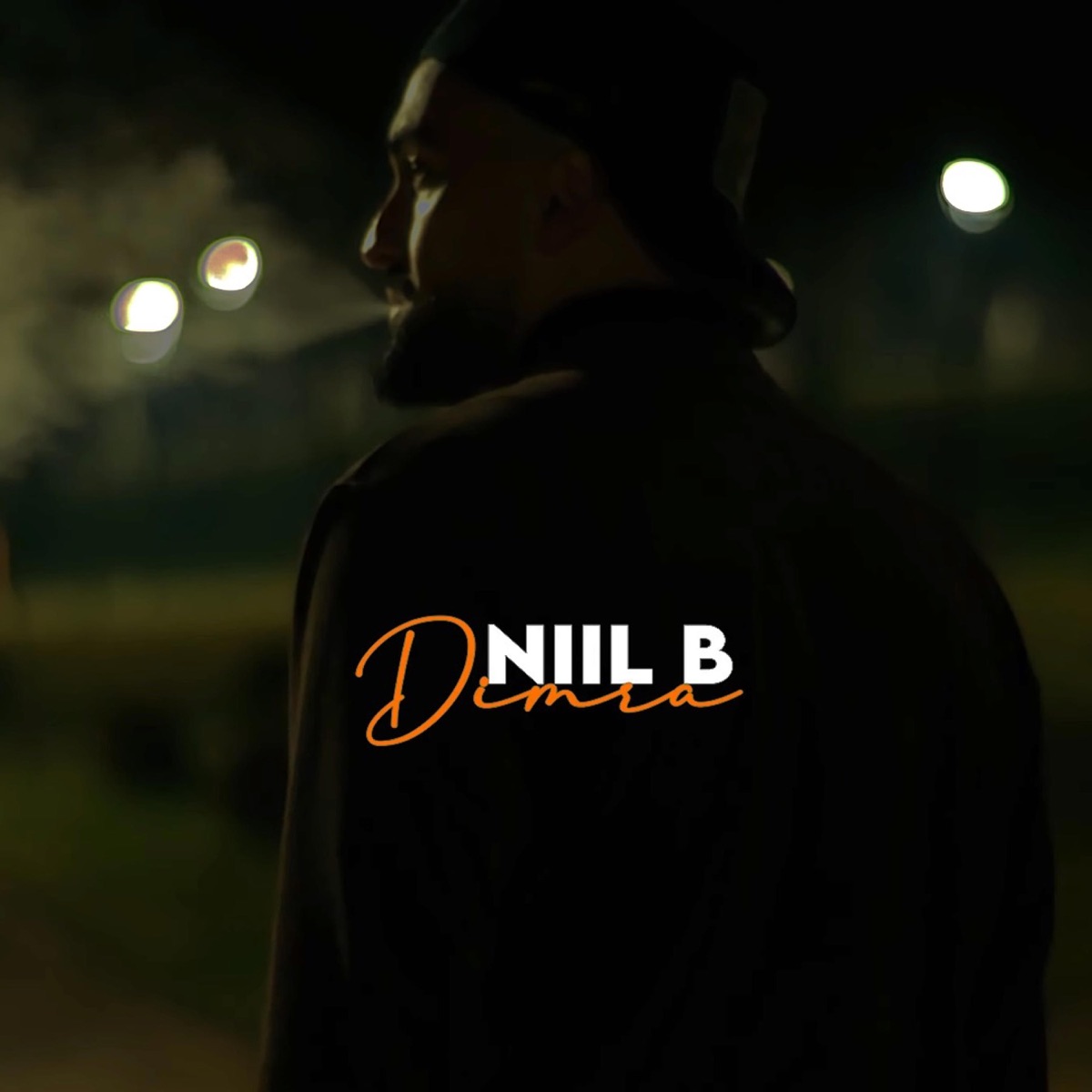 Dimra - Single by Niil B album cover