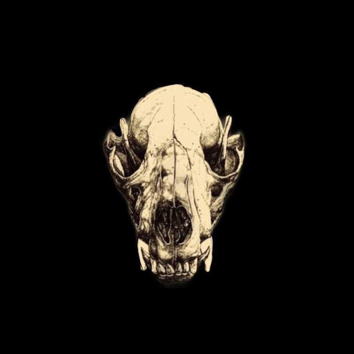 GOLDEN TYPE GOLDEN TAPE by Cannis album cover