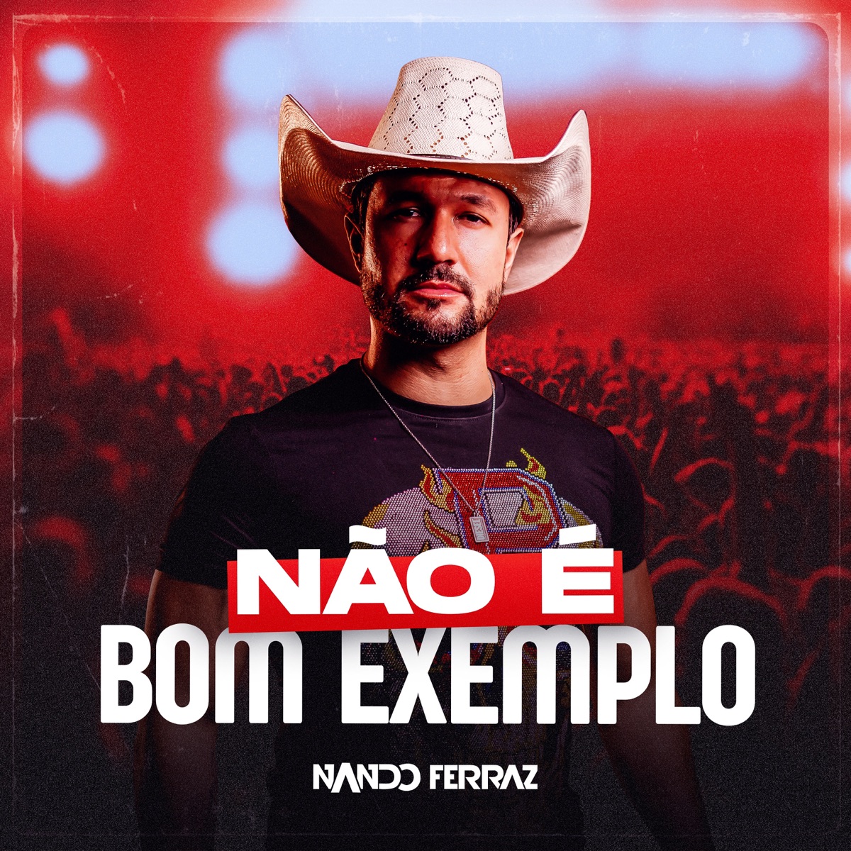 Não é Bom Exemplo - Single by Nando Ferraz album cover