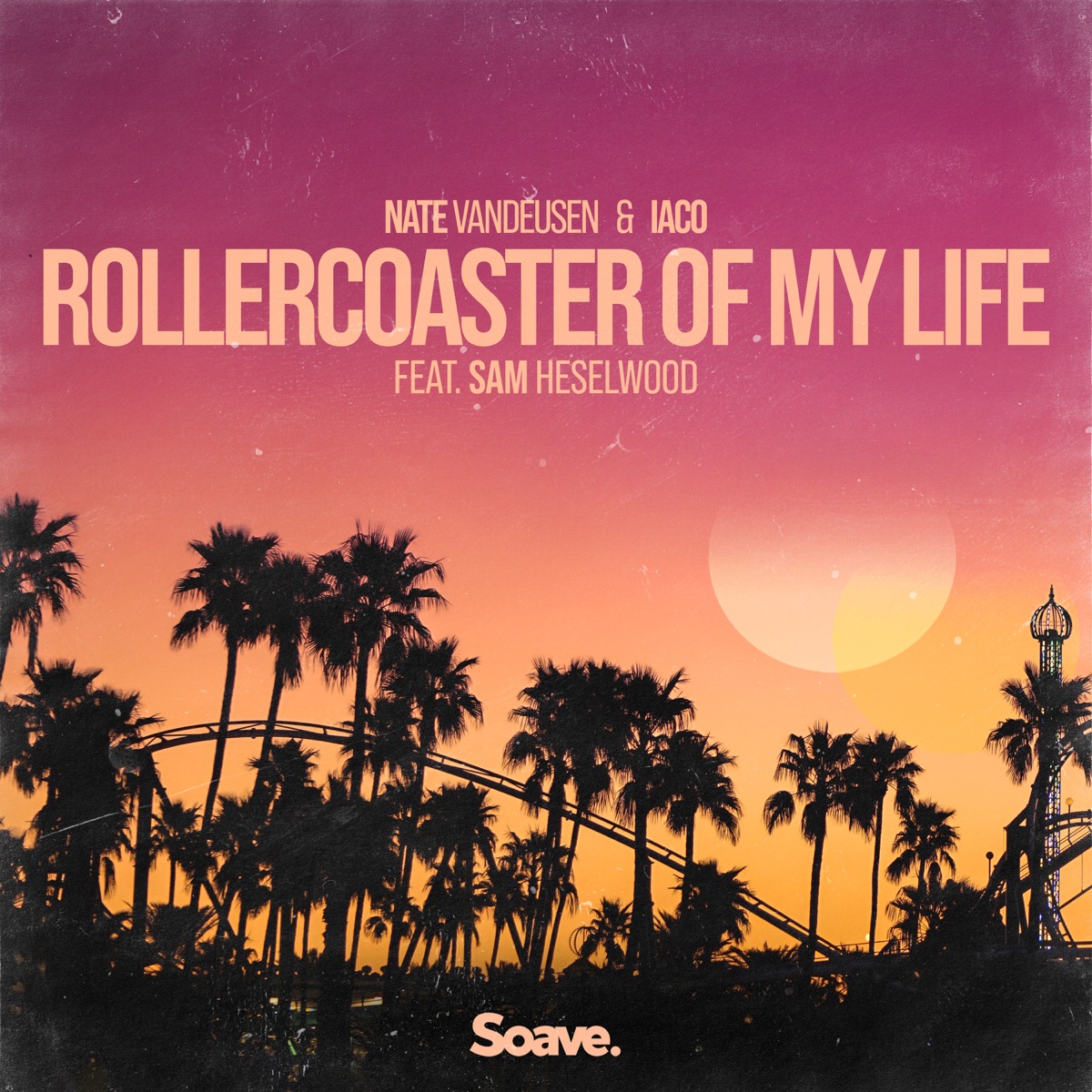 Rollercoaster of My Life (feat. Sam Heselwood) - Single by Nate VanDeusen & Iaco album cover