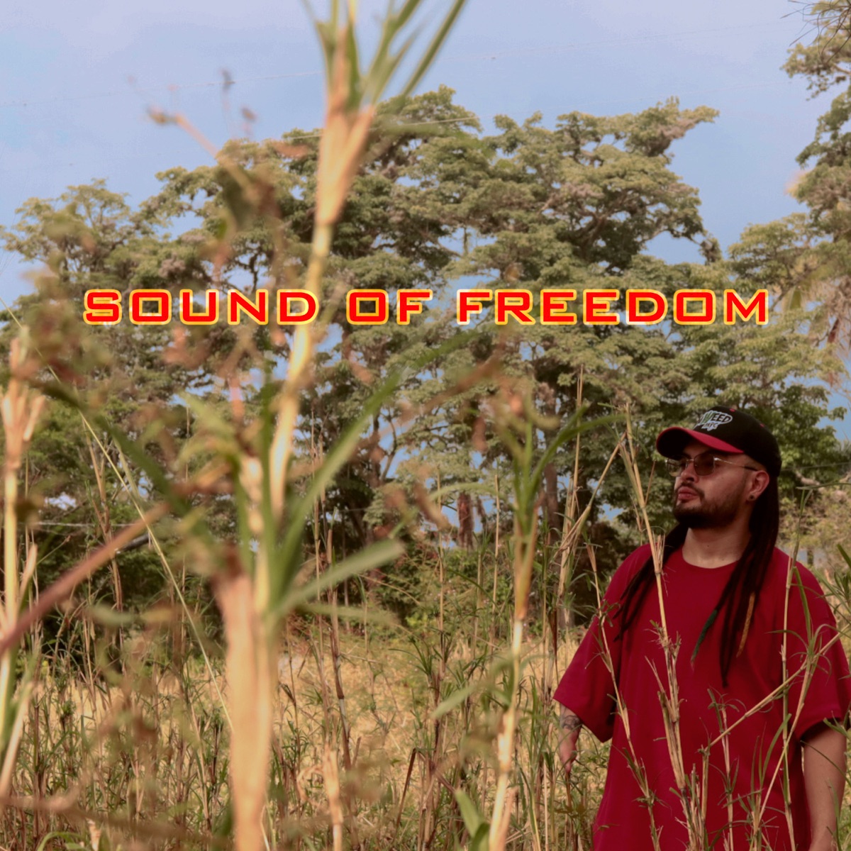Sound Of Freedom - Single by Daweed M i C album cover