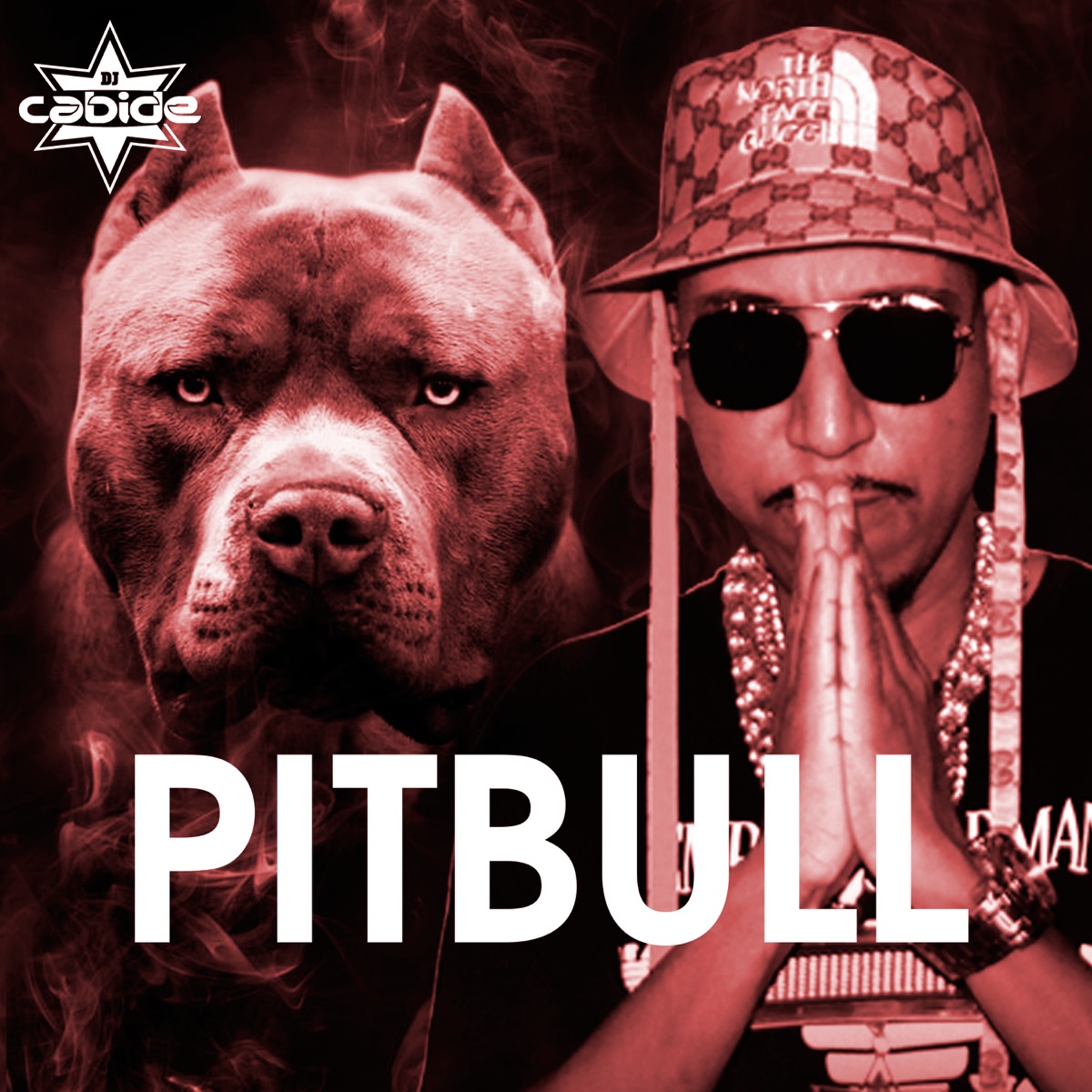 Pitbull (feat. Mc Thay RJ) - Single by DJ Cabide album cover