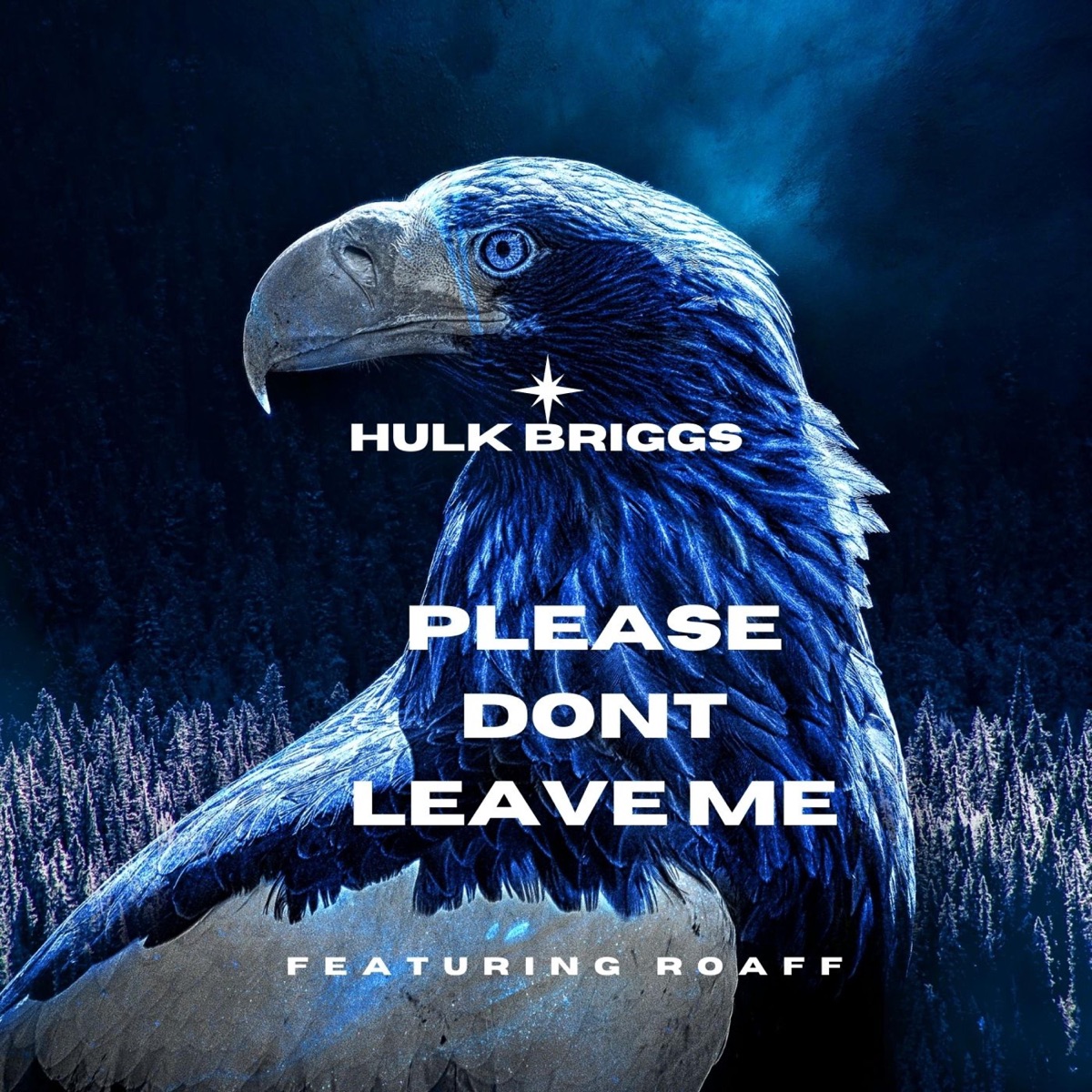 Please dont leave me (feat. ROAFF) - Single by Hulk Briggs album cover