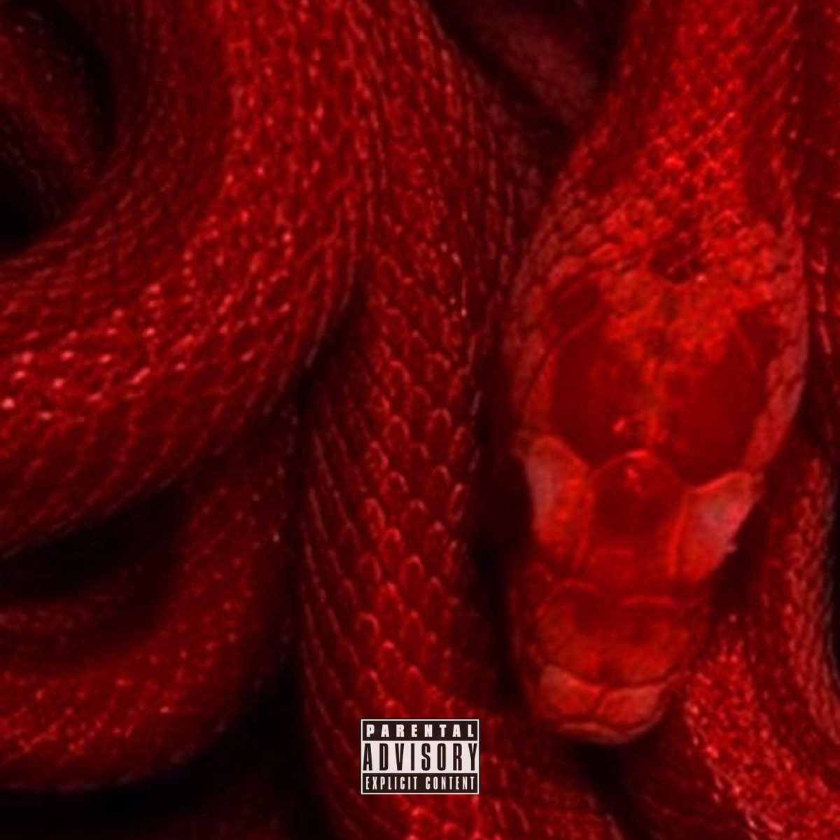 Curiosidad - Single by El Oriental10 album cover