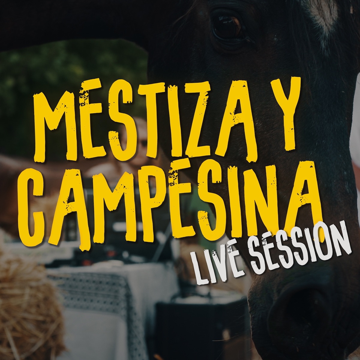Mestiza y Campesina (feat. Jaro Cristo) [Live Session] - Single by AWAKATE, Jamones con Tacones & Road Ramos album cover