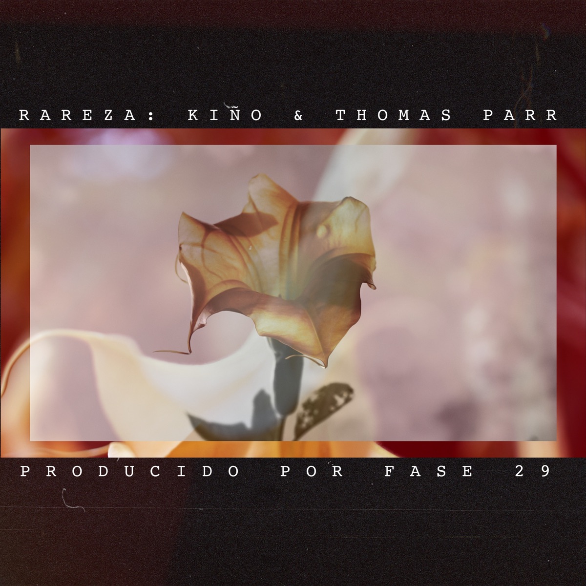 Rareza - Single by Kiño & Thomas Parr album cover