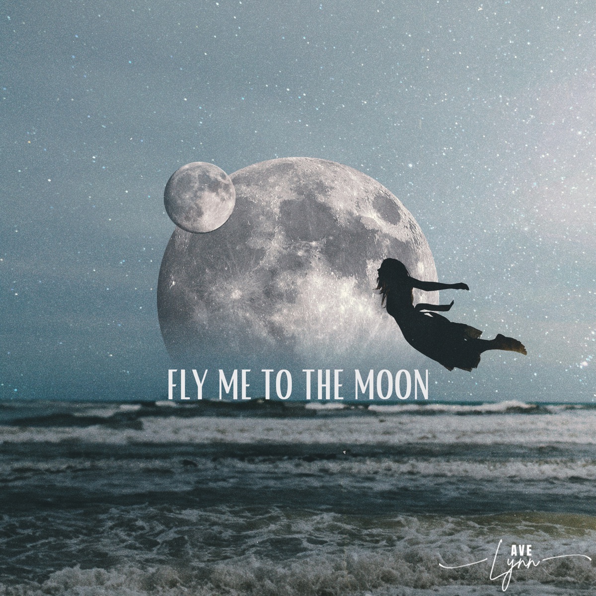 Fly Me To The Moon (feat. Soul Food Horns) - Single by Ave Lynn, Smeeagain & Captian Waves album cover