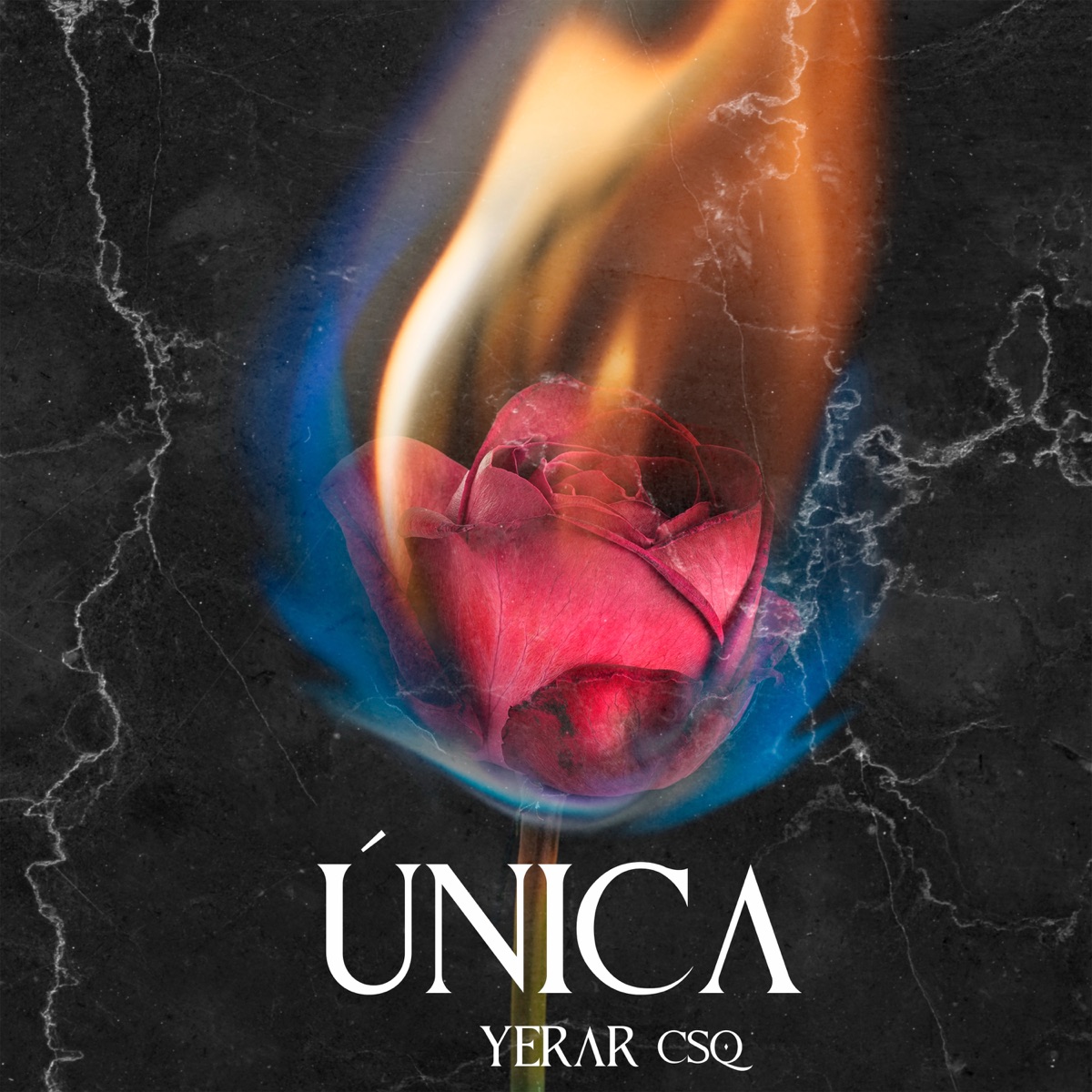 Única - Single by YERAR CSQ album cover