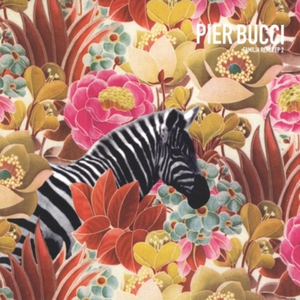 Familia Remix EP 2 by Pier Bucci album cover