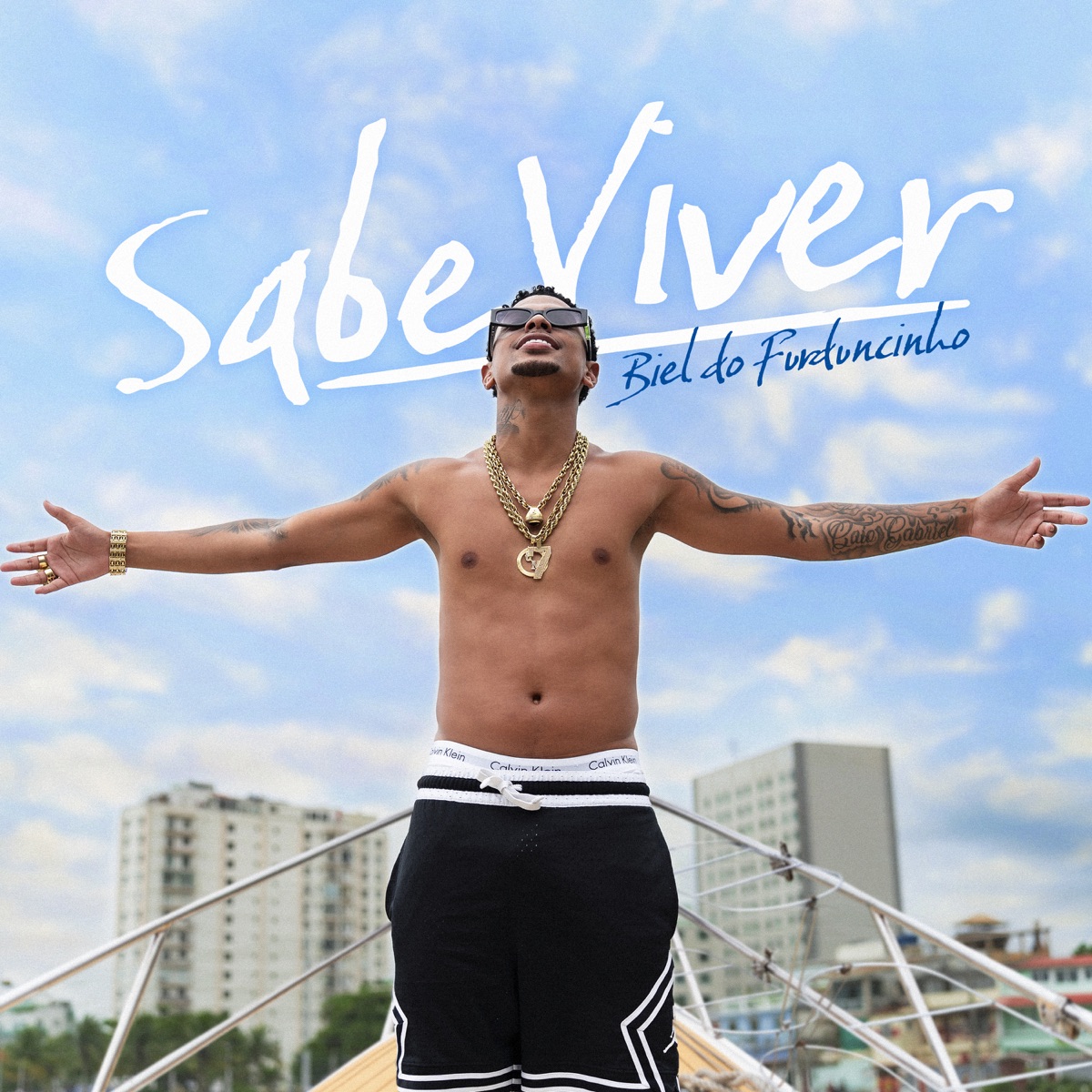 Sabe Viver - Single by DJ Biel do Furduncinho & Ian Durso album cover
