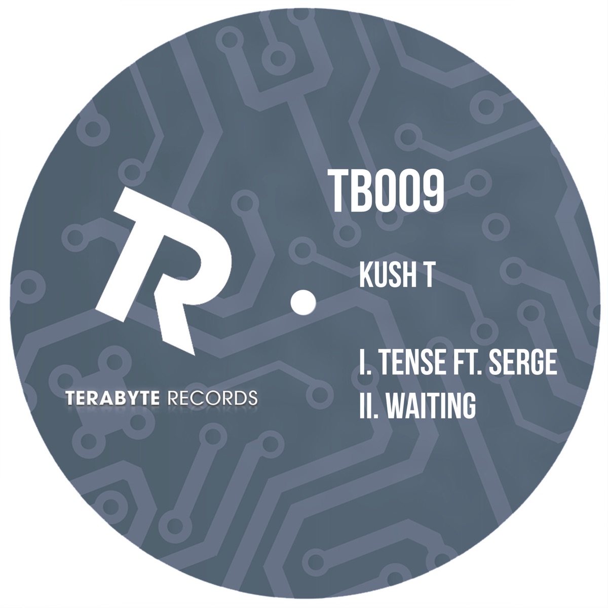 Tense / Waiting - Single by Kush T & Serge album cover