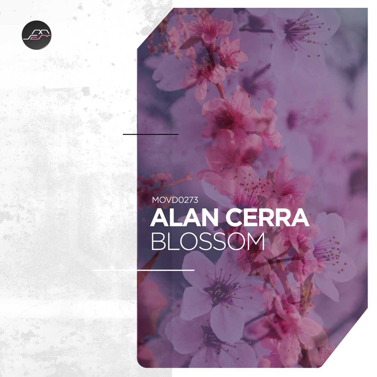 Blossom - Single by Alan Cerra album cover