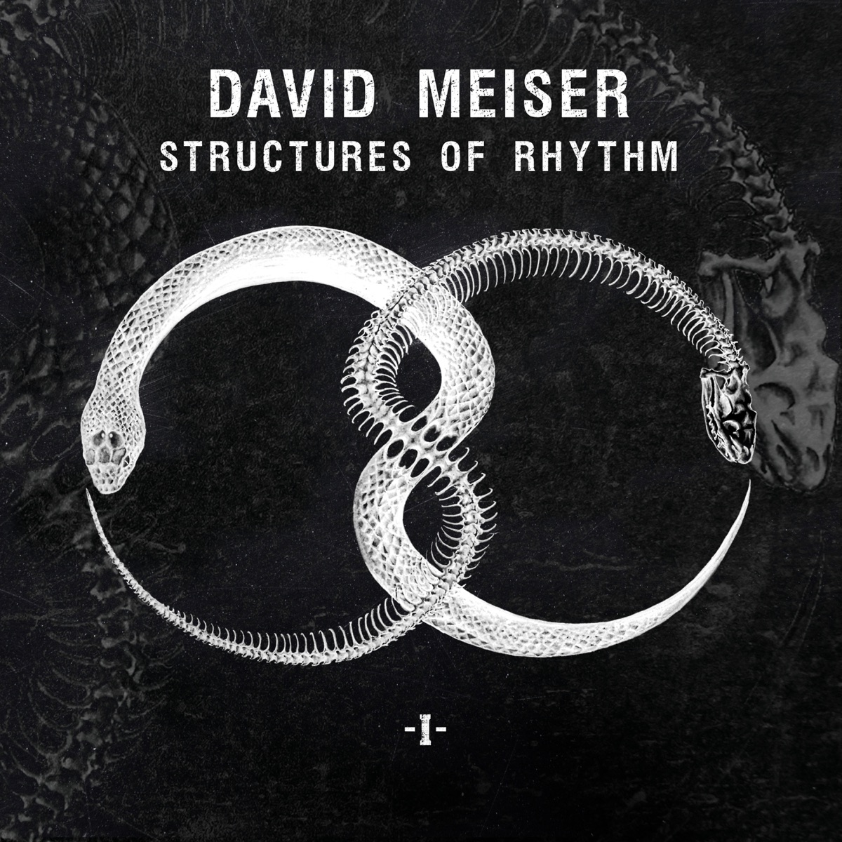 Structures of Rhythm (P1) - EP by David Meiser album cover