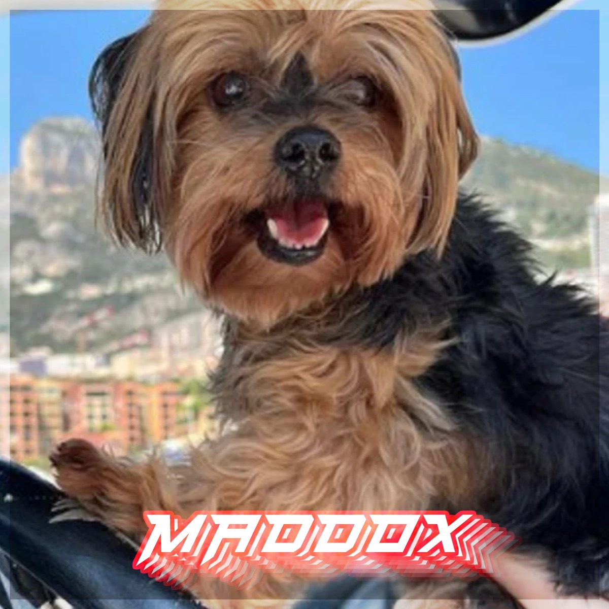 Die Geissens Techno (Maddox Song) - Single by Der Aztekke album cover