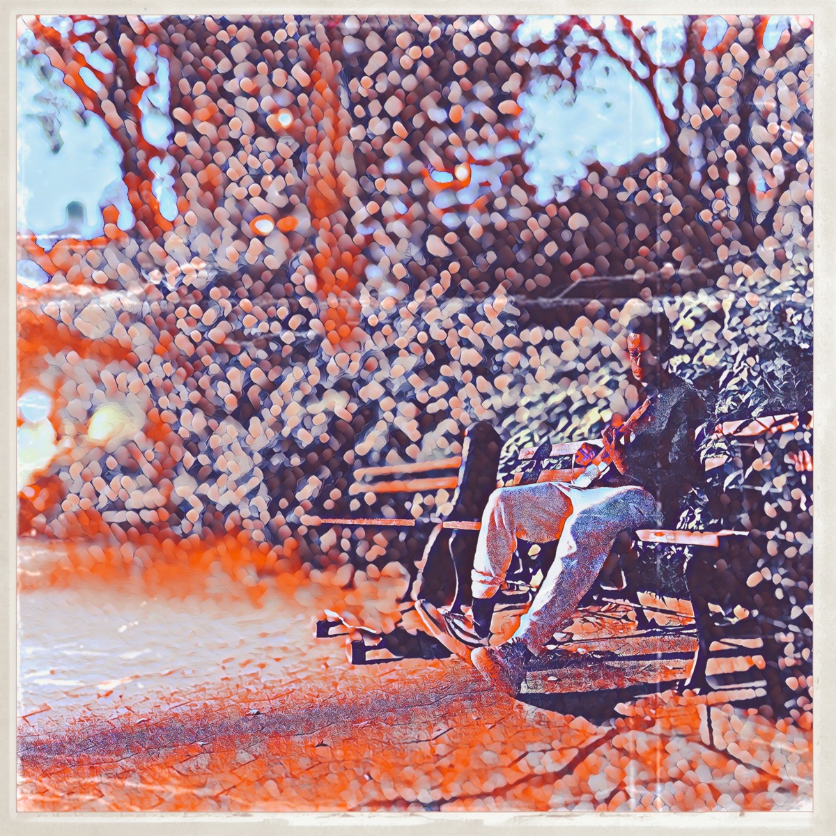 Overture - EP by Daji album cover