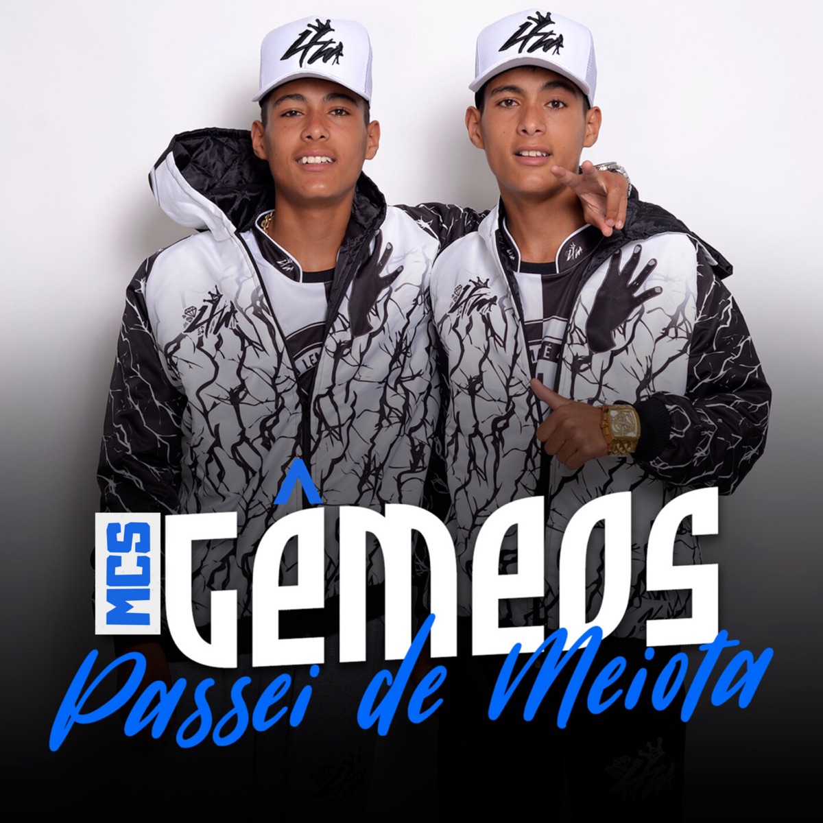 Passei de Meiota - Single by Mc's Gemêos album cover