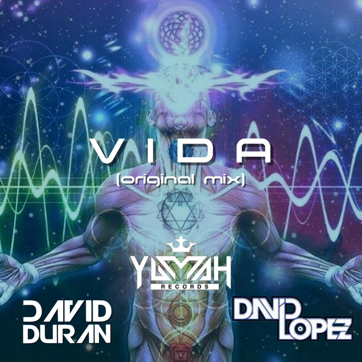 Vida - Single by DavidDuran & David Lopez album cover