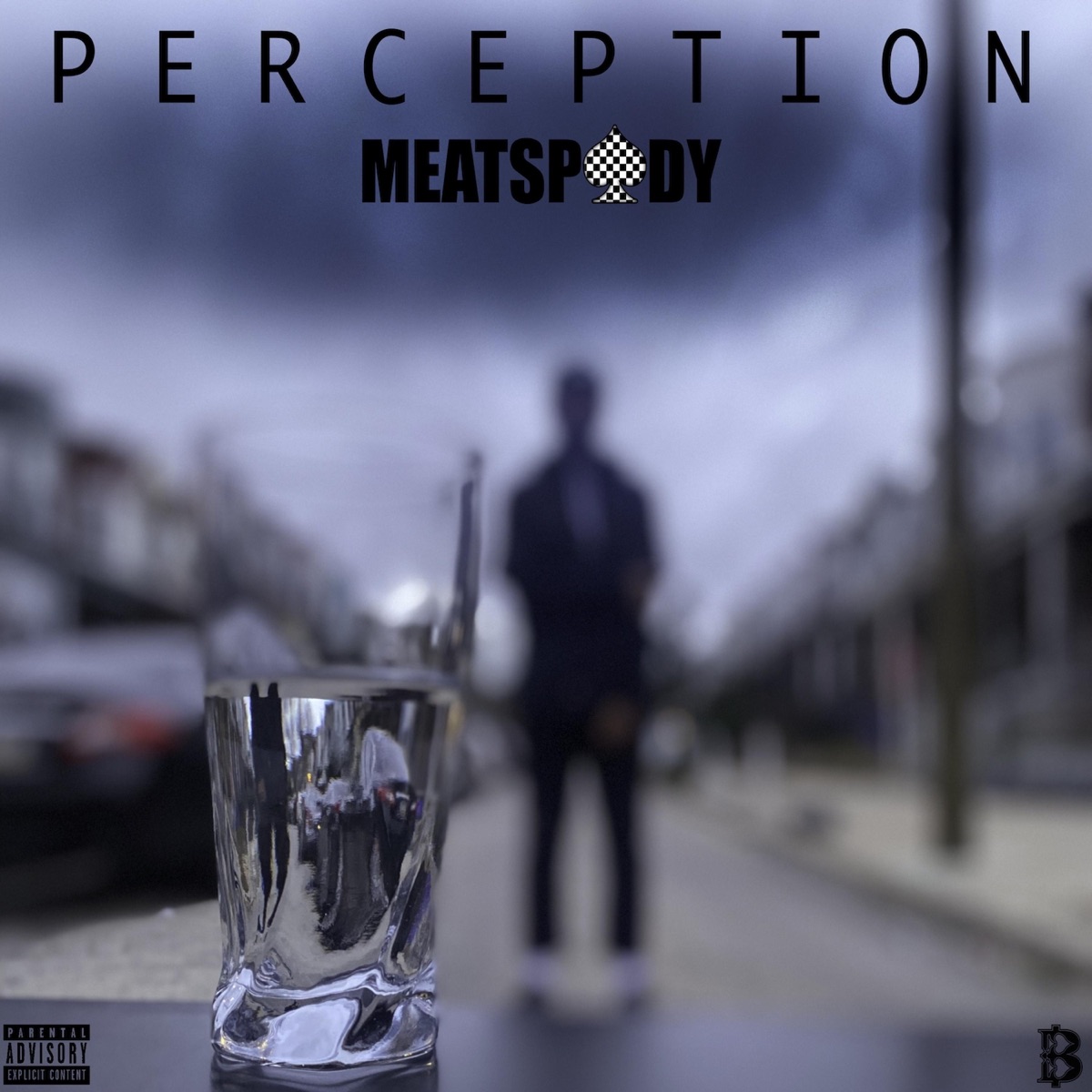 Perception by MeatSpady album cover