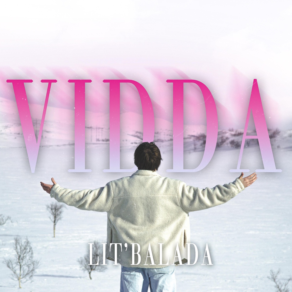 Vidda (Lit’Balada) - Single by Fjelltopp album cover