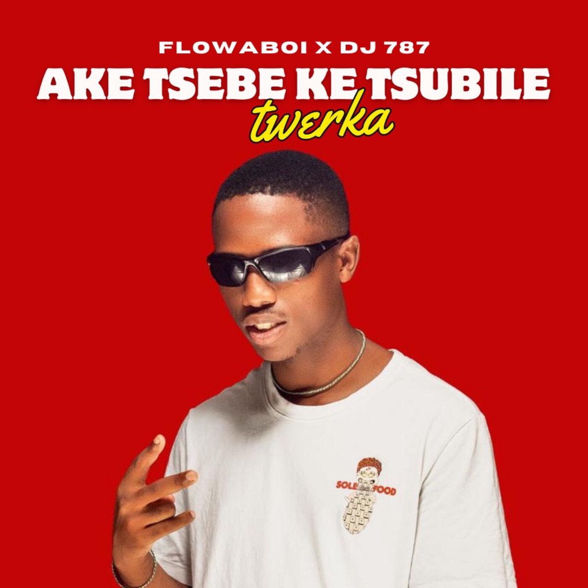 Ake Tsebe Ke Tsubile(Twerka) - Single by Flowaboi & Dj 787 album cover
