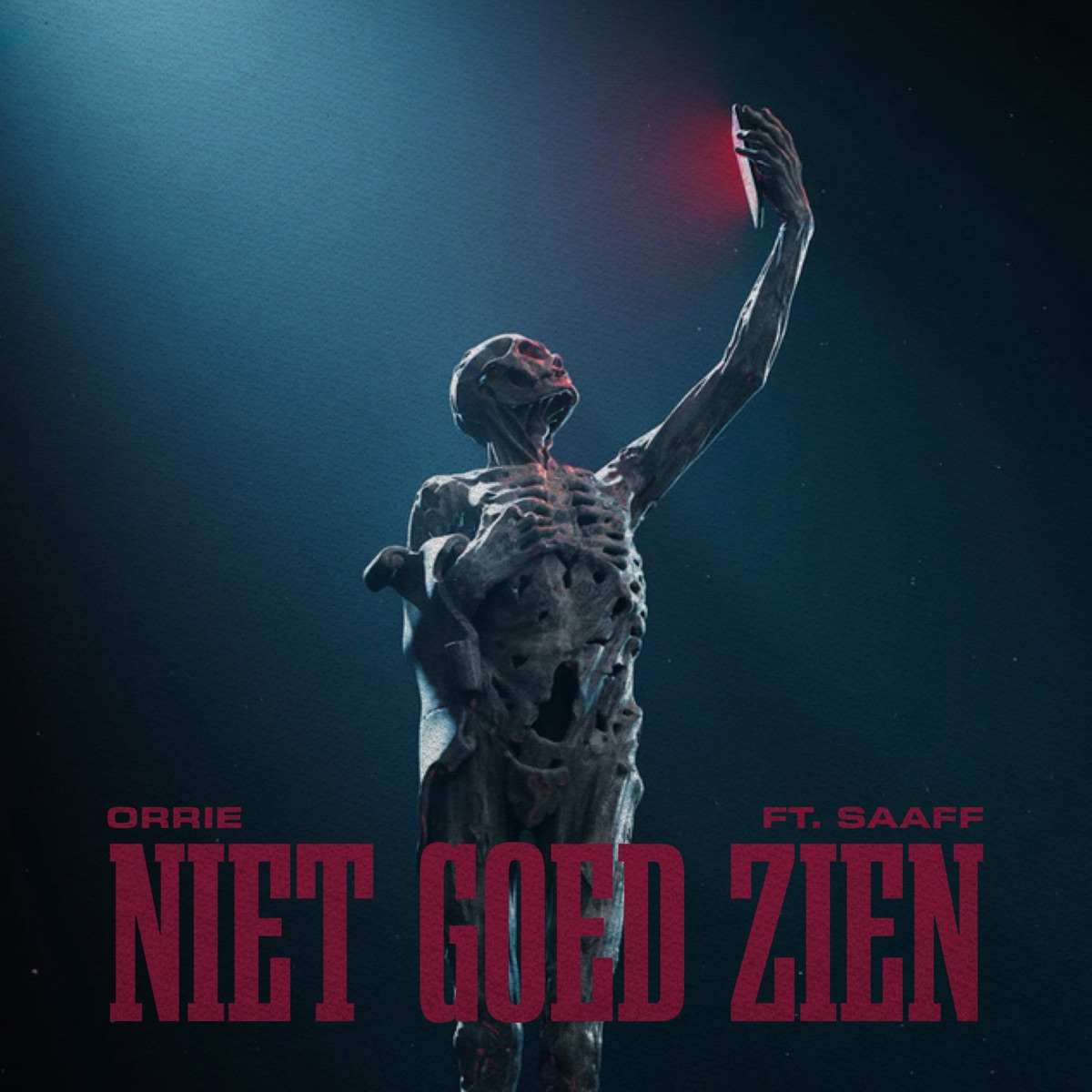 Niet Goed Zien - Single by Orrie & Saaff album cover