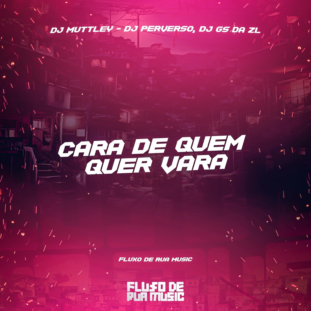 Cara de Quem Quer Vara - Single by Dj Muttley, DJ PERVERSO & DJ GS DA ZL album cover