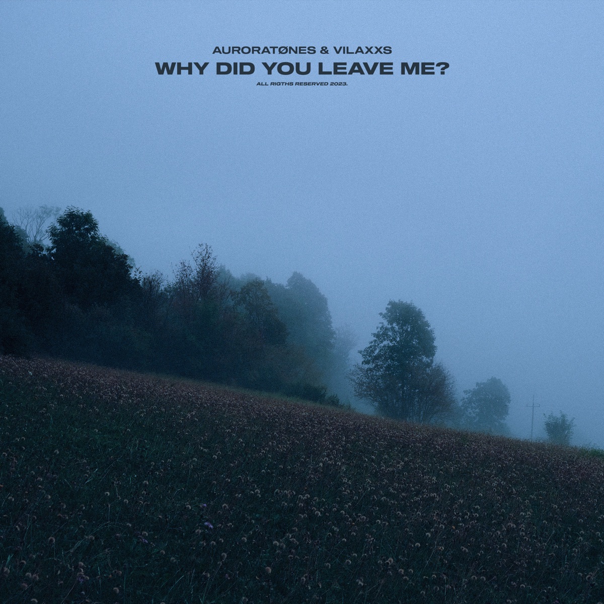 Why did You Leave Me? - Single by auroratønes & Vilaxxs album cover