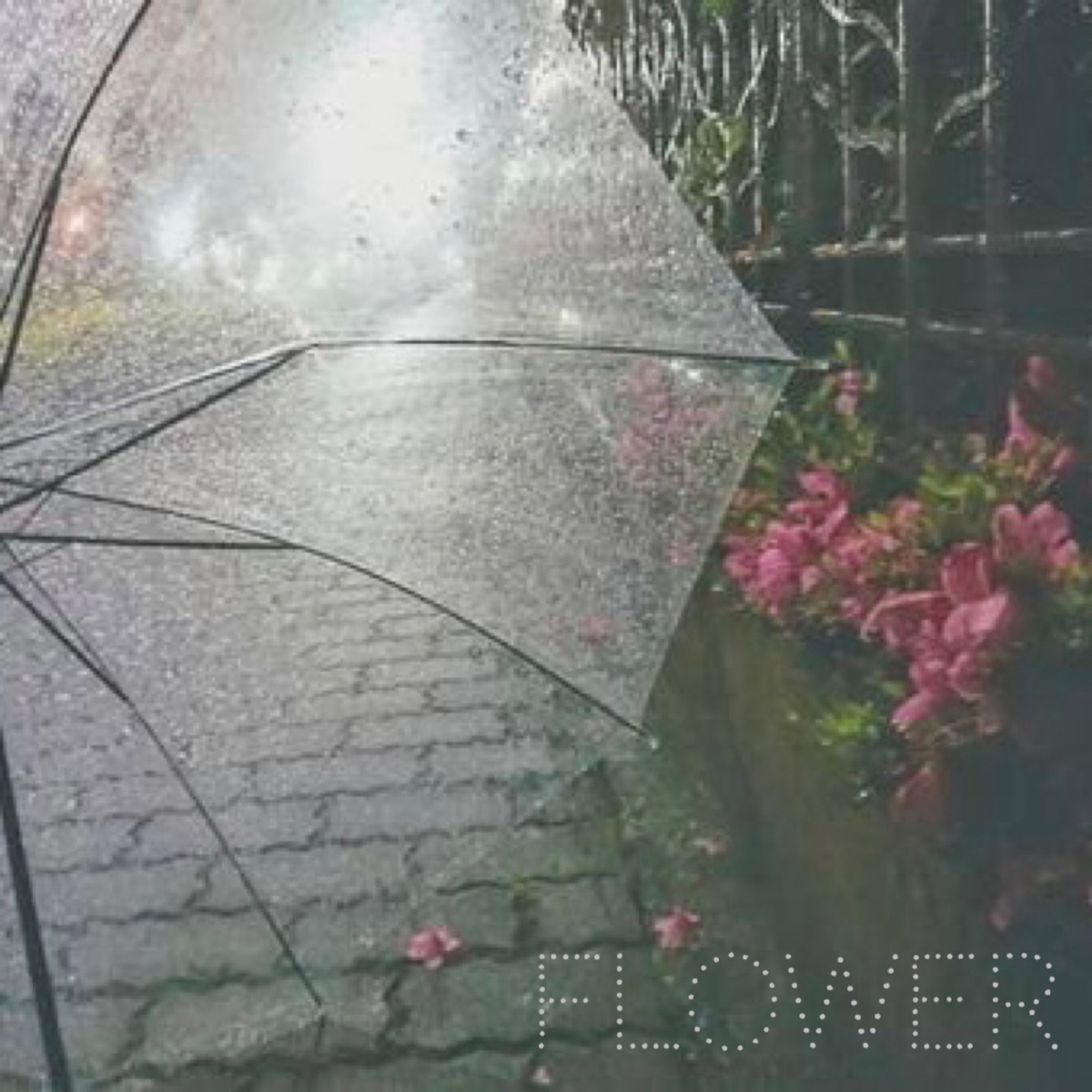 Flower - Single by Marby & 裸武 & RIN a.k.a 貫井りらん & D album cover