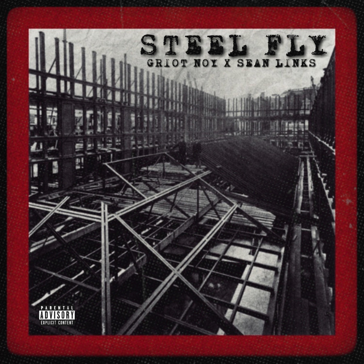 Steel Fly by Griot Noy & Sean Links album cover