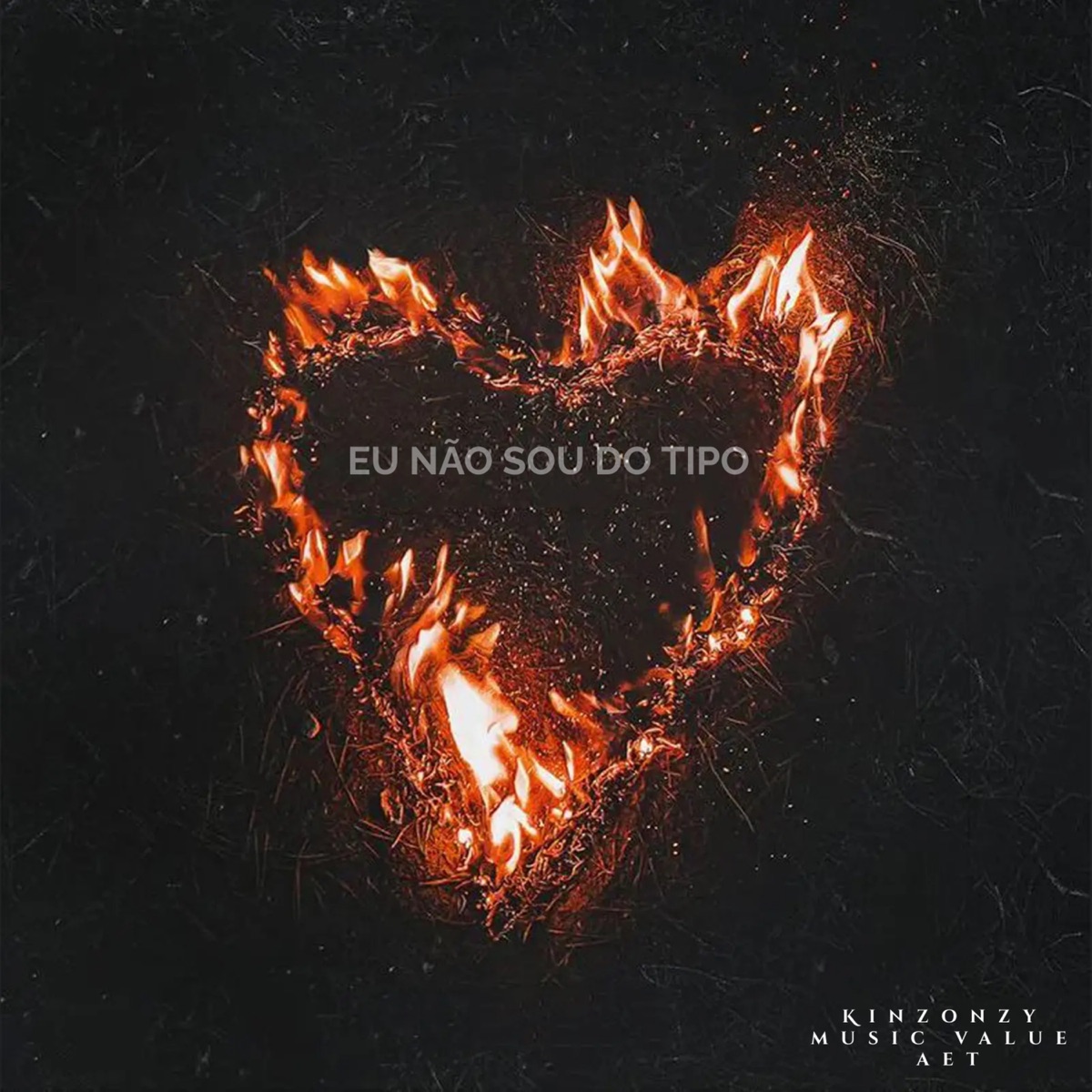 Eu não sou do tipo - Single by Kinzonzy, Music Value & AET album cover