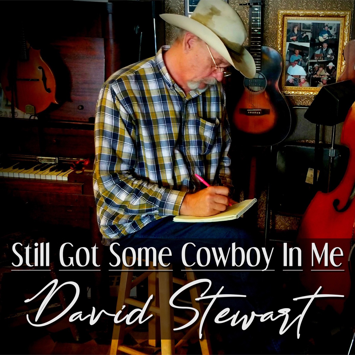Still Got Some Cowboy in Me by David Stewart album cover