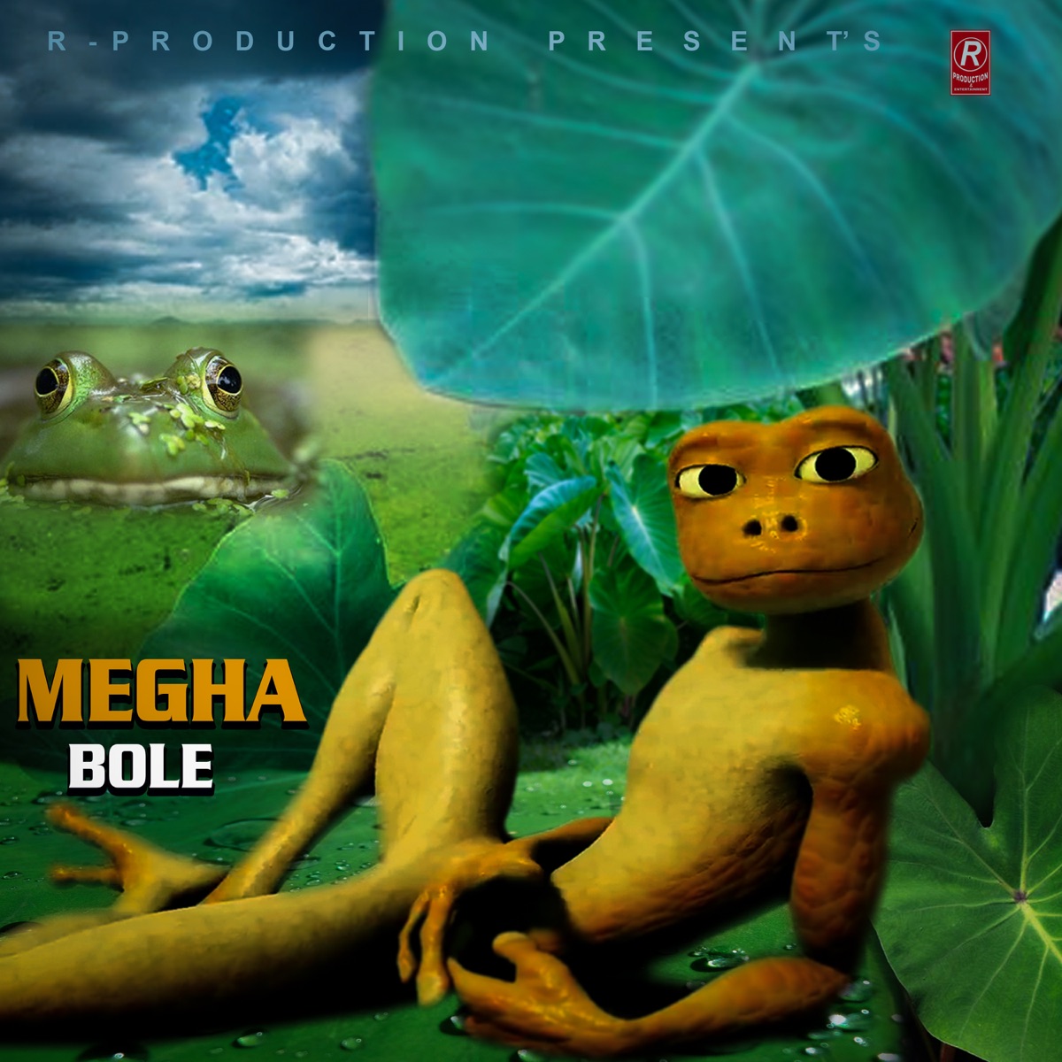 Megha Bole - Single by Raj Kusmy, Sonu Qushmi & Ganesh Chaudhary album cover