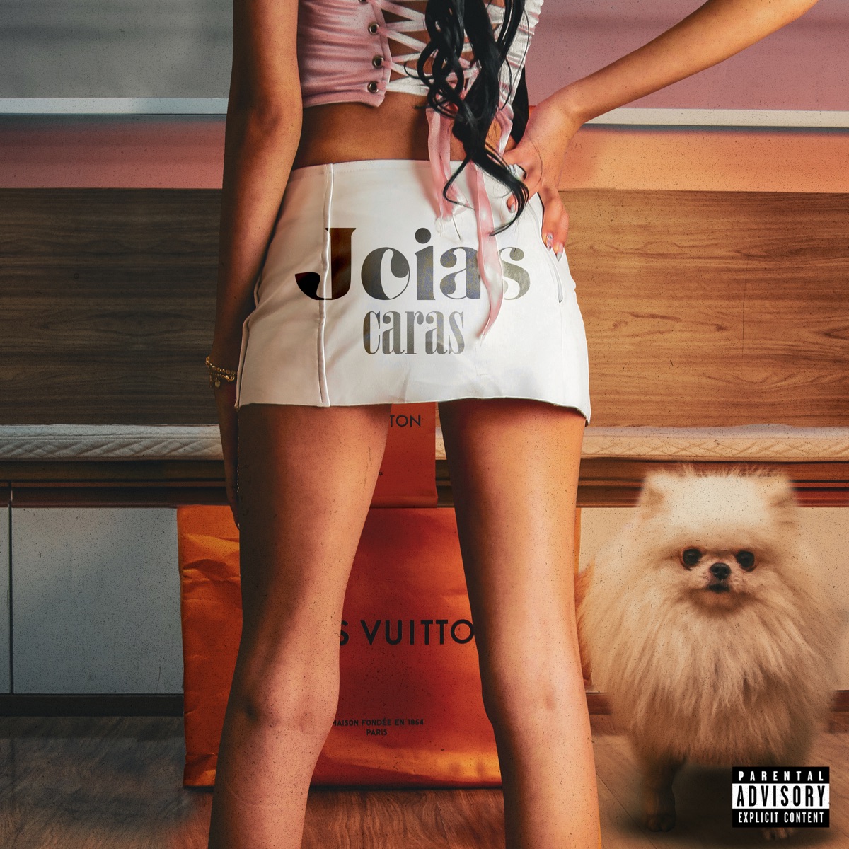 Joias Caras - Single by Nivy & Biazotto album cover