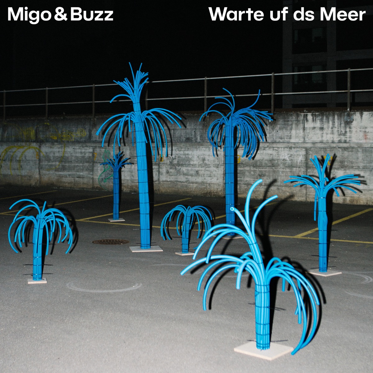 Warte uf ds Meer by Migo & Buzz album cover
