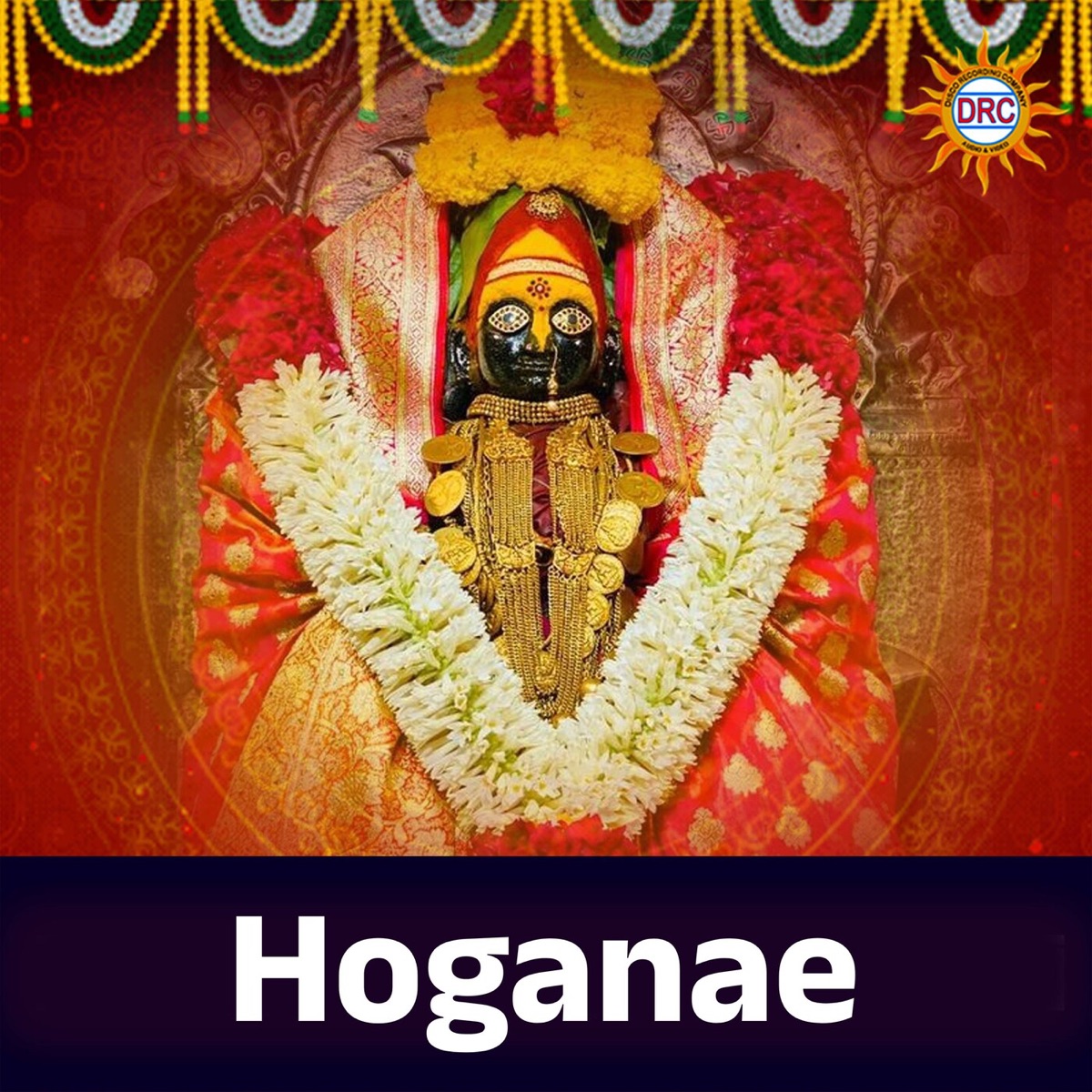 Hoganae - Single by Anil, Kiran & Vijay Laxmi album cover