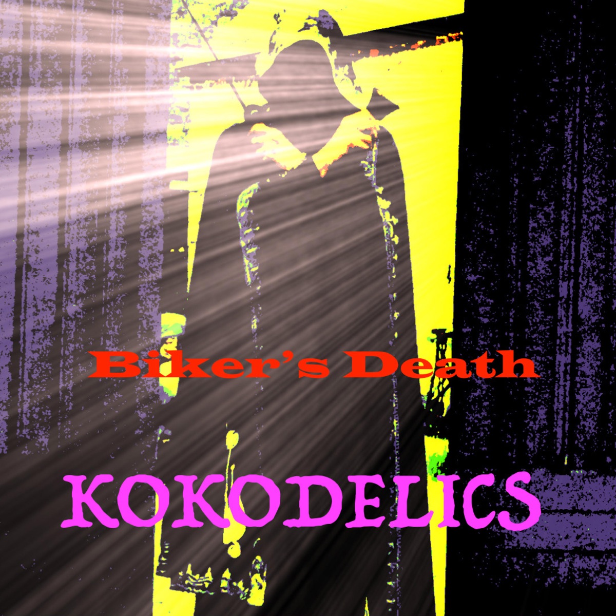 Biker's Death - Single by kokodelics album cover