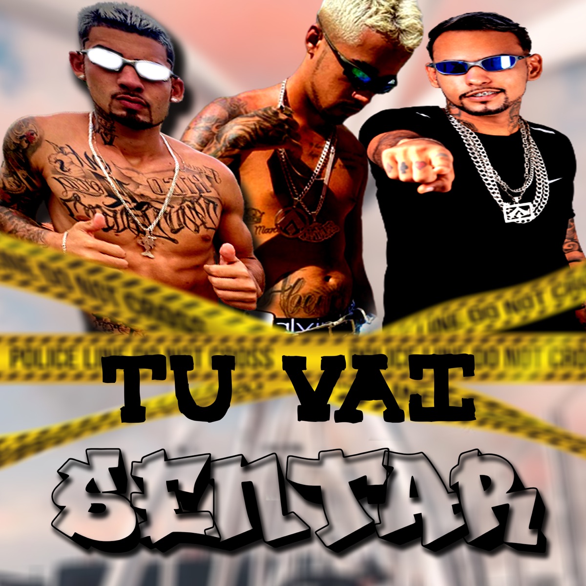 Tu Vai Sentar - Single by mc boyugo, Zoi de Gato & eryck pl album cover