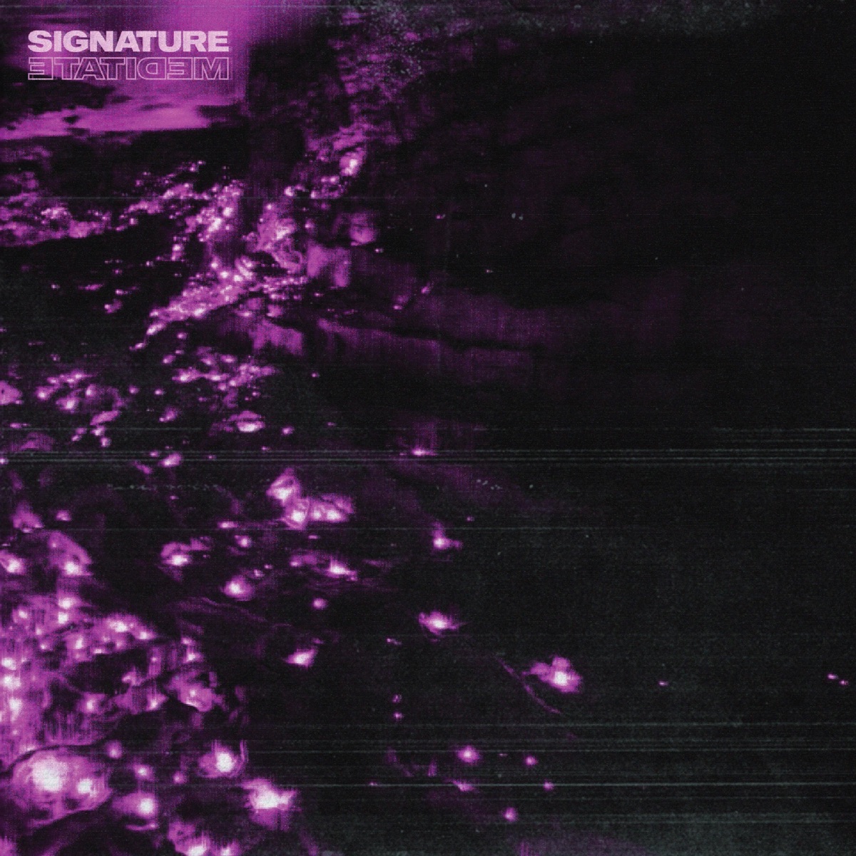 Meditate - Single by Signature album cover