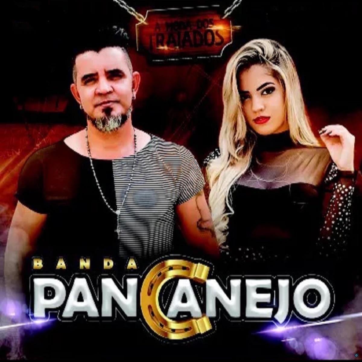Beber é Meu Dom by Banda Pancanejo album cover