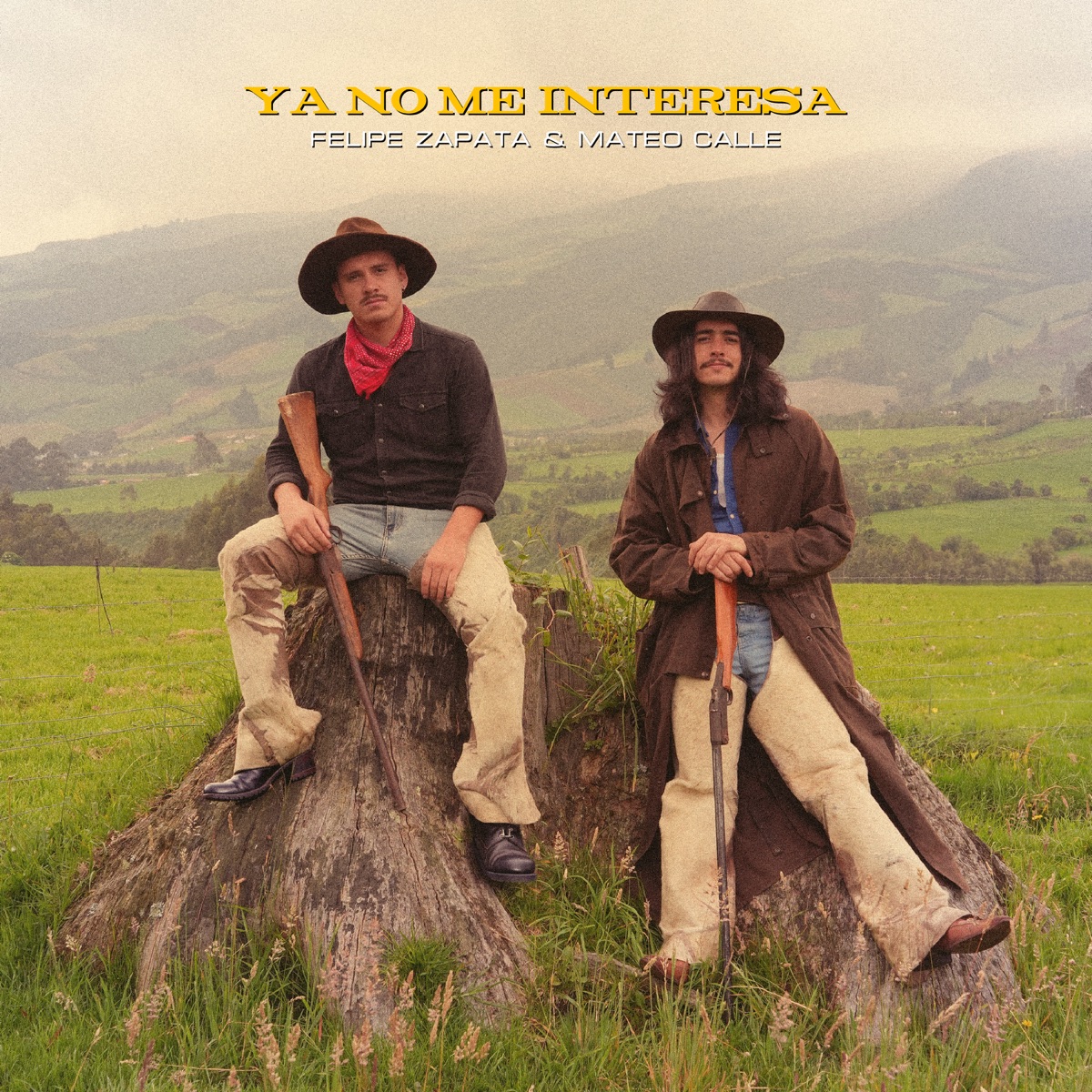 Ya No Me Interesa - Single by Felipe Zapata & Mateo Calle album cover