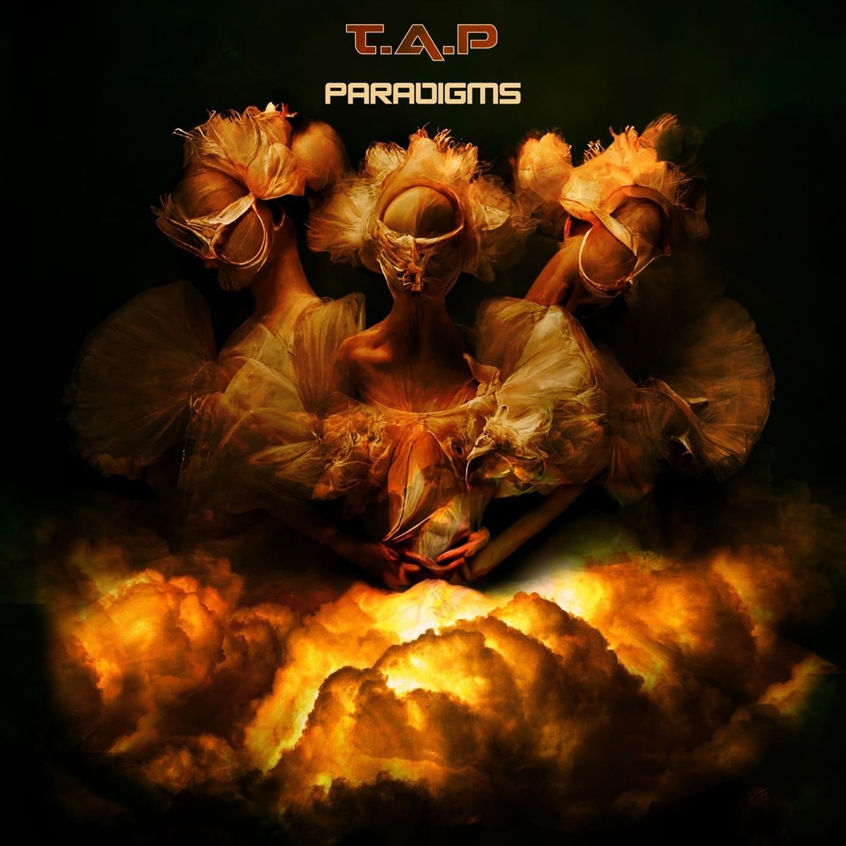 Paradigms by T.A.P album cover