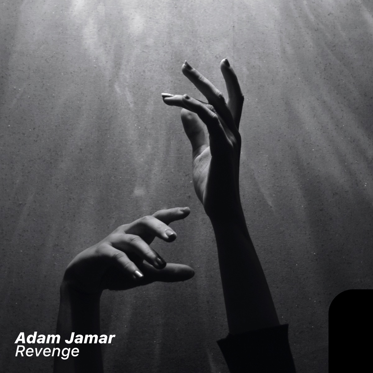 Revenge - Single by Adam Jamar album cover