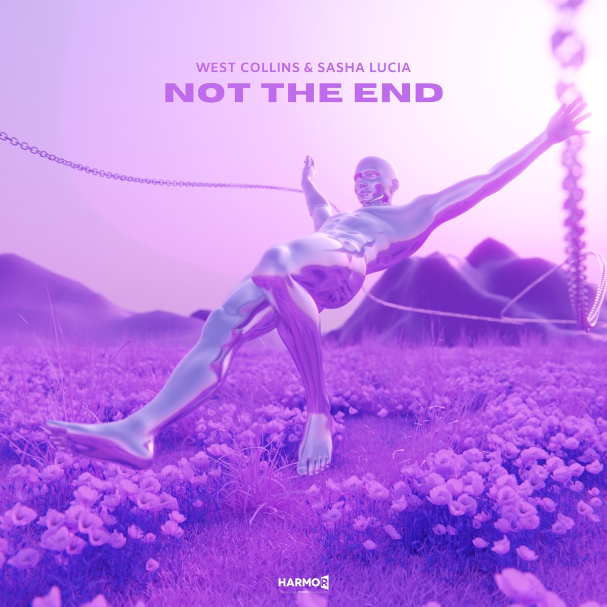 Not the End - Single by West Collins & Sasha Lucia album cover